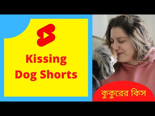 Kissing Dog 🐕 Funny Dog 😂 #shorts #youtubeshorts #srshorts