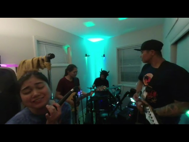 Late Bloomers DRUNK Jamming - Someone You Loved Cover (Lasing Feels Version)