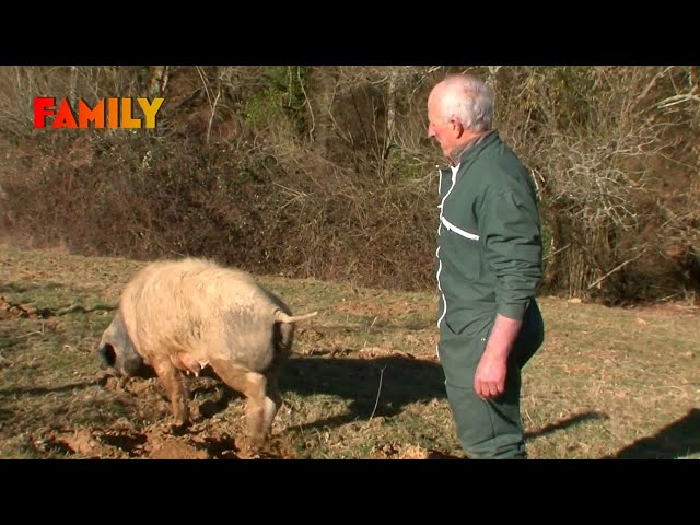 Agriculteurs en galère : leur défi du quotidien