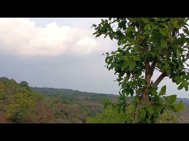 #beautifulnature #skyview #jungle #valley #trees #greenery