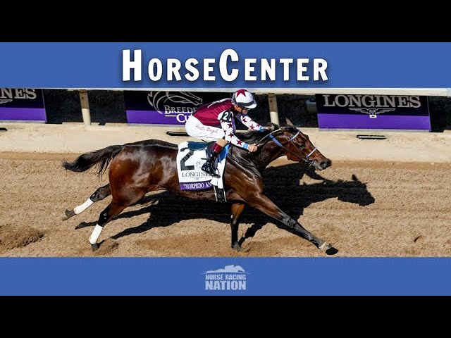 The Best of Horse Racing in 2024 on HorseCenter