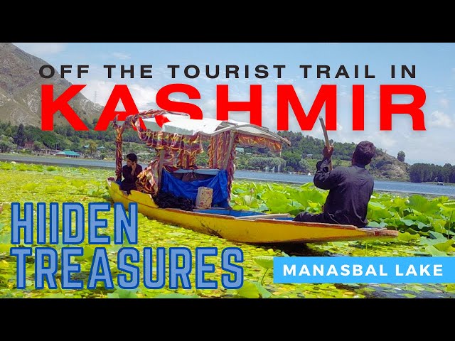 Off The Tourist Trail in Kashmir: Manasbal Lake - The Secret Treasure