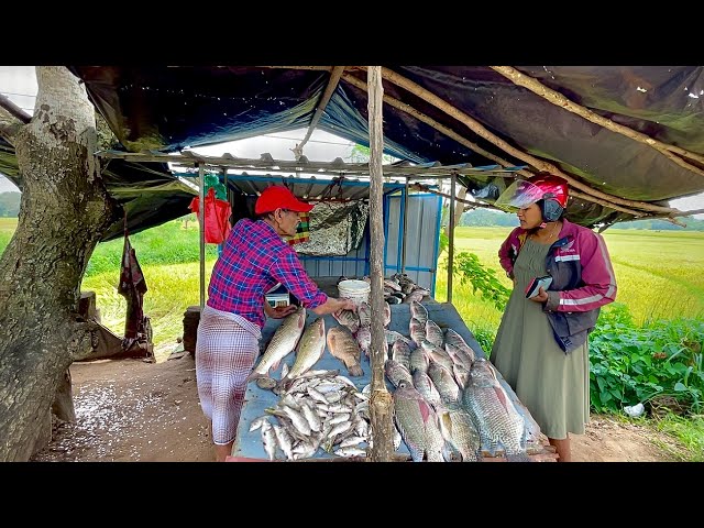 Unreal! Island Villagers Super Fish Cutting Skills In Traditional Village Markets