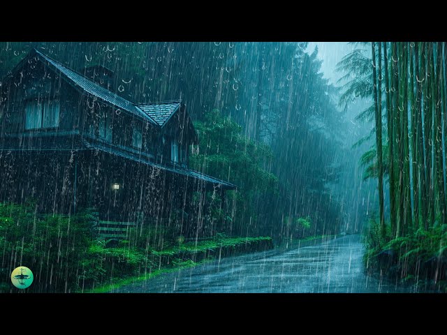 Sweet Dream - Deep Sleep Instantly with Heavy Rain & Thunder Sounds on Pretty Bamboo Forest at Night