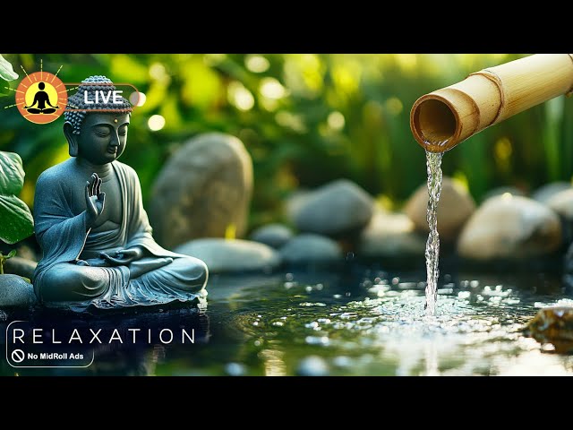 🔴 Relaxing Music 24/7 🌿3297, Stress Relief Music, Sleep Music, Meditation Music, Calming Music