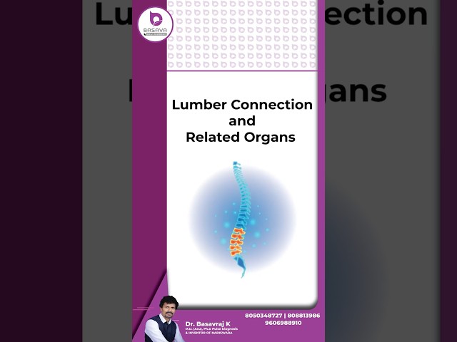 Lumber Connection & Related Organs in Color Therapy | Healing with Colors |Dr. Basavaraj K|