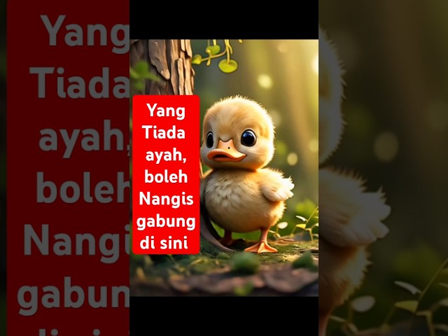 Bebek lucu cute duck bersedih, kehilangan ayahnya. Lose her father. #duck #father #sedih #motivasi