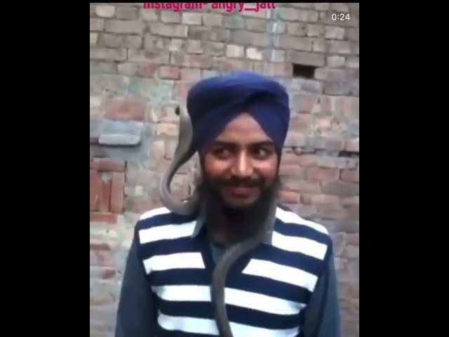 FUNNY PUNJABI VIDEO ON SNAKE 🐍🐍🐍 #shorts #shortsbeta #viralshorts