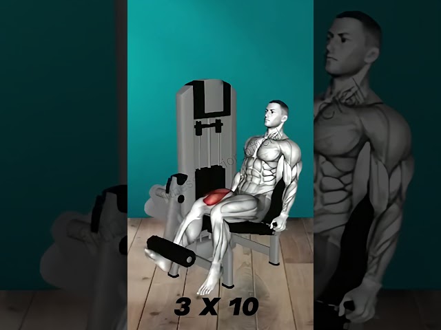 Ultimate Leg Workout – Build Strength & Power in Minutes! 💪 #Shorts