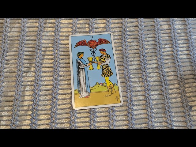 LEARN THE LANGUAGE OF TAROT DAY 66: TWO OF CUPS