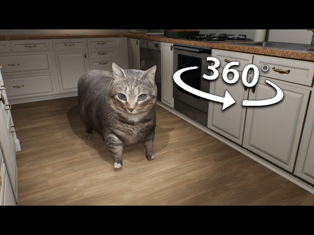 OIIAOIIA Cat Breaks Into Your House 360/VR