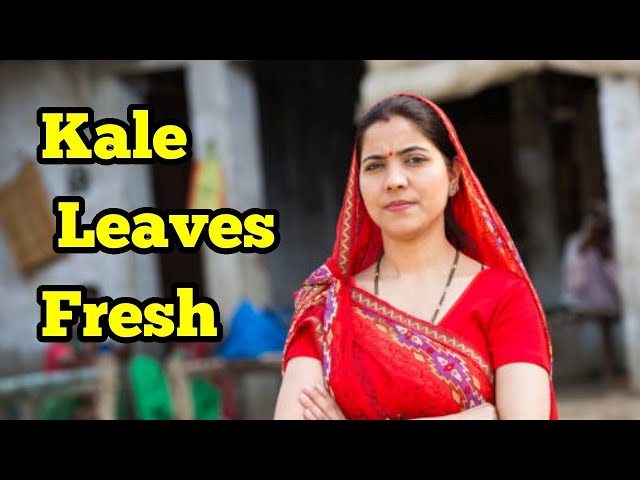 Priya Kale Leaves Fresh