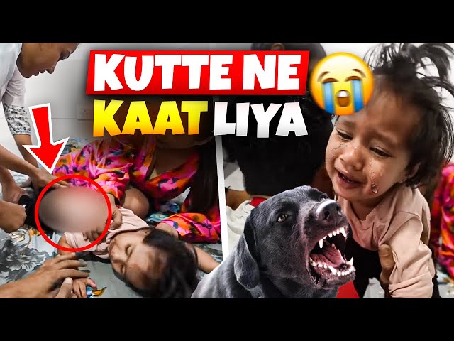 Aadya ko kutte ne kata | 6 Injections lagwane padege🥲 | LittleGlove