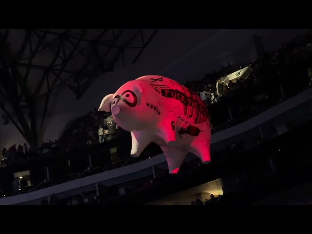 Roger Waters live flying pig