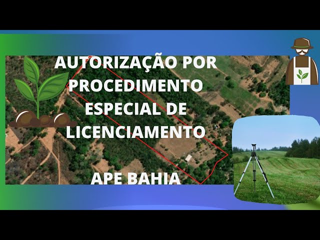 COMO FAZER  APE - AUTORIZAÇÃO POR PROCEDIEMETO ESPECIAL DE LICENCIAMENTO