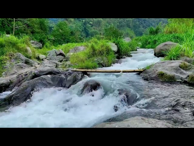 Relaxing Nature River Sounds for Inner Peace | Meditation, Yoga, Healing, Sleeping & Stress Relief