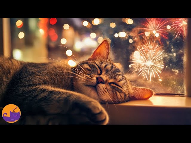 Protect Your Cat from NYE Noise Anxiety - Firework Relief Music! 🎆