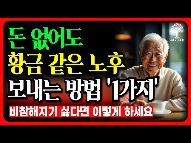 나이 들어서도 비참해지기 싫다면 이 '이 1가지'만 반드시 기억하면 됩니다 l 노후대비 l 노후준비 l 노후조언 l 인생조언 l 노후지혜 l 삶의지혜 l 오디오북 l 지혜의가르침