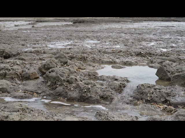 ASMR Low tide small waterfall on rocks, great quality stereo sound 320kbps/48khz. 4K 60fps.