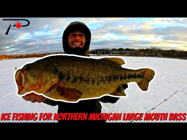 Ice Fishing for Northern Michigan Largemouth Bass