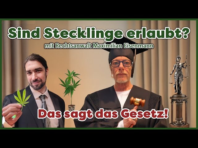 Stecklinge & Setzlinge: Was ist erlaubt? Der Anwalt klärt auf! 🌱🧐