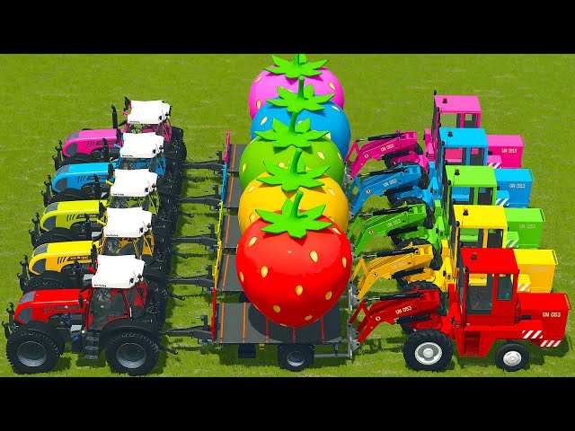 TRUCKS With Colors - GIANT STRAWBERRY LOAD WORK with ZTS LOADERS - Farming Simulator 25