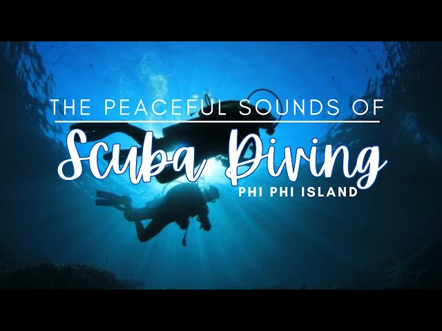 LISTEN to The Sounds of Scuba Diving – Relaxing Underwater Escape in Phi Phi Island