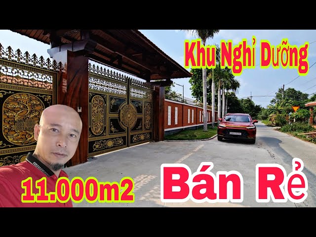 🛑Bất động sản Củ Chi GIẢM 14 tỷ Bán gấp biệt thự nhà gỗ HỒ BƠI Homestay ( Đã Bán ) Nhà Đất SG