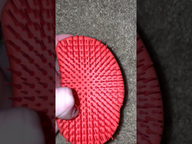 ASMR carpet brushing with scratching