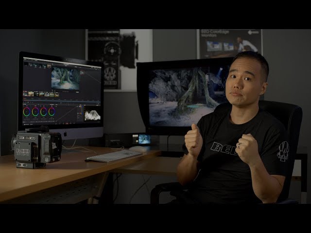 RED IPP2 Colour Grading in DaVinci Resolve