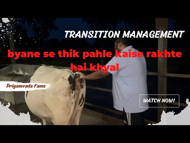 Transition Management- in baato ka rakhe khyal