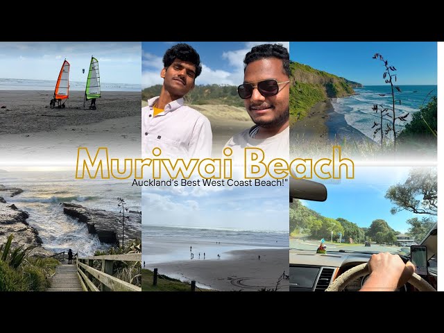 "Enjoying Muriwai Beach 🌊 | Auckland’s Best West Coast Beach!"