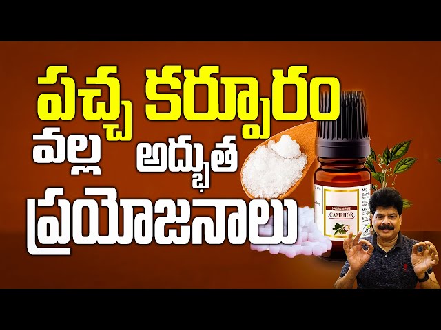 కర్పూరం మీ ఆరోగ్యానికి వరం | Camphor Benefits: For Health, Beauty, and Home Purification