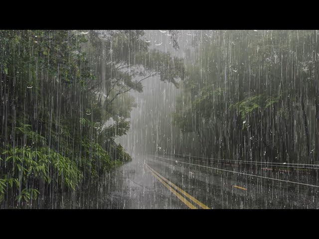 Lluvia Relajante para Dormir - Sonido de Lluvia para Relajante y Mejorar el Insomnio - ASMR