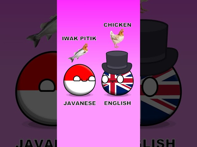 Differences between English and Javanese #countryballs #shorts #indonesia #english #uk