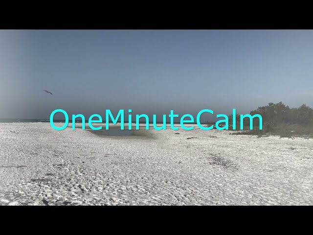 One Minute Calm | Calming Beach Scene 13 | Minute Meditation | Take the first step ...