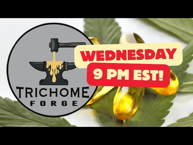 Ep. # 166 Baked Pwn with The Trichome Forage