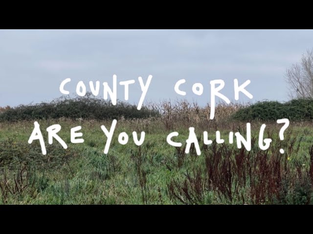 Tommy McAuliffe - County Cork, Are You Calling