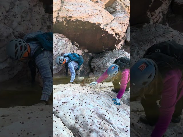 Calico Hills Exploration: Clambering Through Red Rock #Hiking #Scrambling #Climbing #shorts