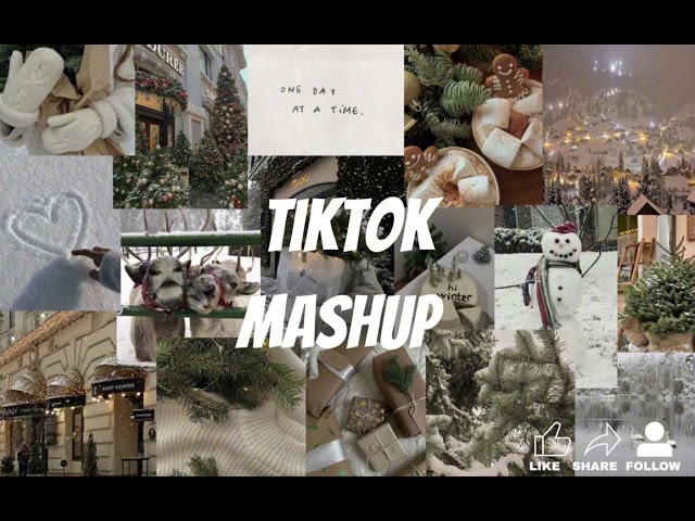 Tiktok mashup ❄️⛄️