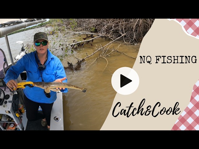 Fishing Bohle river Townsville, flathead catch and cook NQ