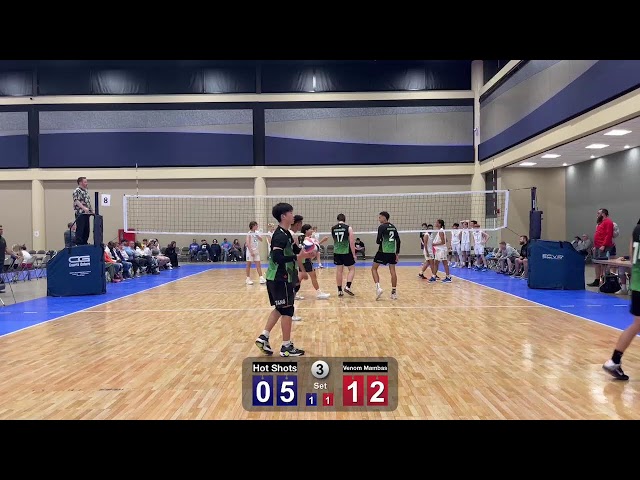 Venom Mambas Vs Hot Shots - Buffalo Tune-Up 2024 - Quarterfinals