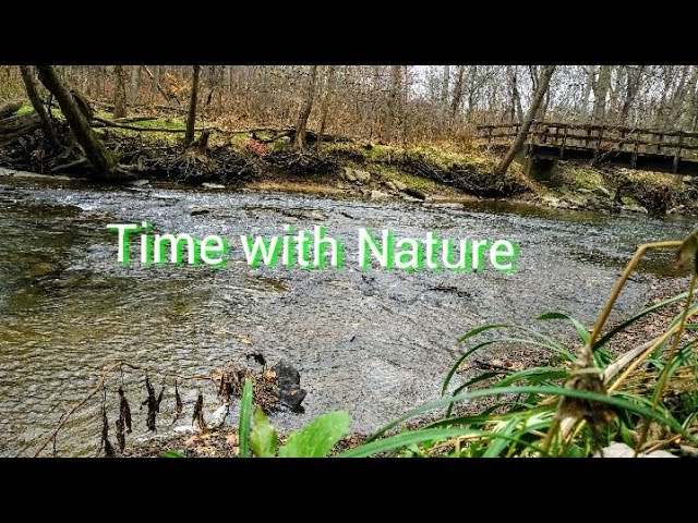 Time In Nature - 15 Minutes Nature