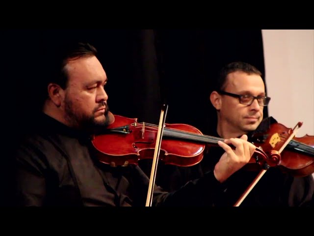 Concerto Grosso nr. II in F -David Silva Monje (BETTER AUDIO)