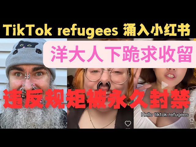 TikTok refugees 涌入小红书？违反规矩被永久封禁？洋大人下跪求收留小红书Red Note 自导自演顺势推出英文国际版？