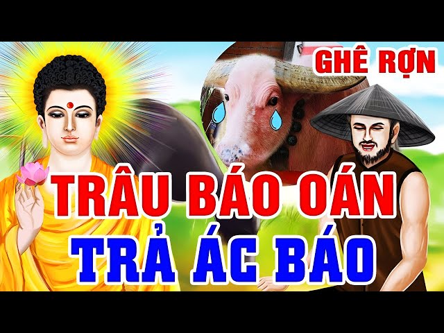 Luật Nhân Quả Không Bỏ Sót 1 Ai, GHÊ RỢN TRÂU BÁO OÁN...Ác Báo Phải Trả - Gieo Nhân Nào Gặt Quả Đó