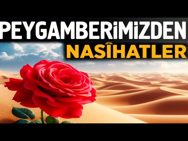 Peygamber Efendimizden Nasihatler #hzmuhammed #peygamberlerinhayatı