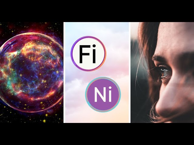 The Fi-Ni Loop: What it is and How to Cope