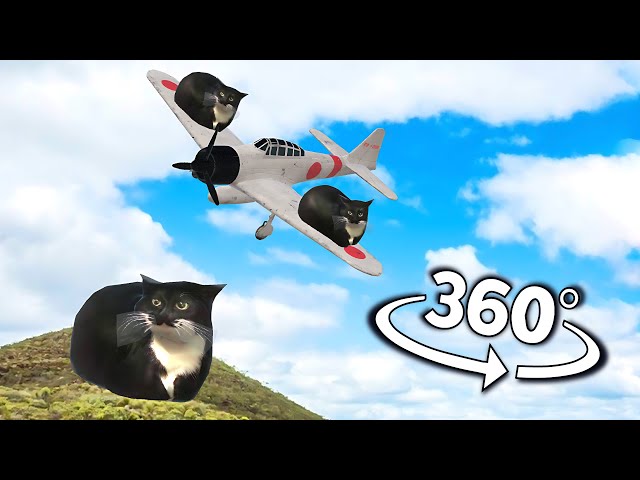 Maxwell The Cat but it's 360 degree video #3