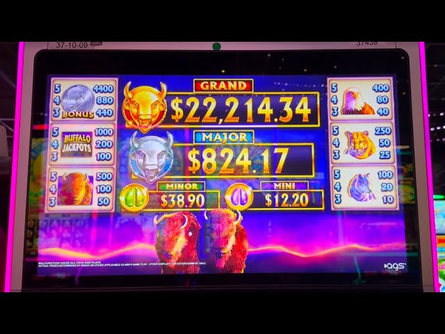 Let’s Try Buffalo Jackpot  🎰 🤑 #slot #slotmachinejunky #casino #casinogame